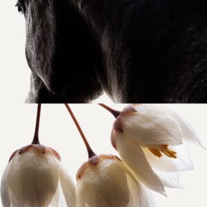 HeadSpace Styrax 100 ml - Image 3