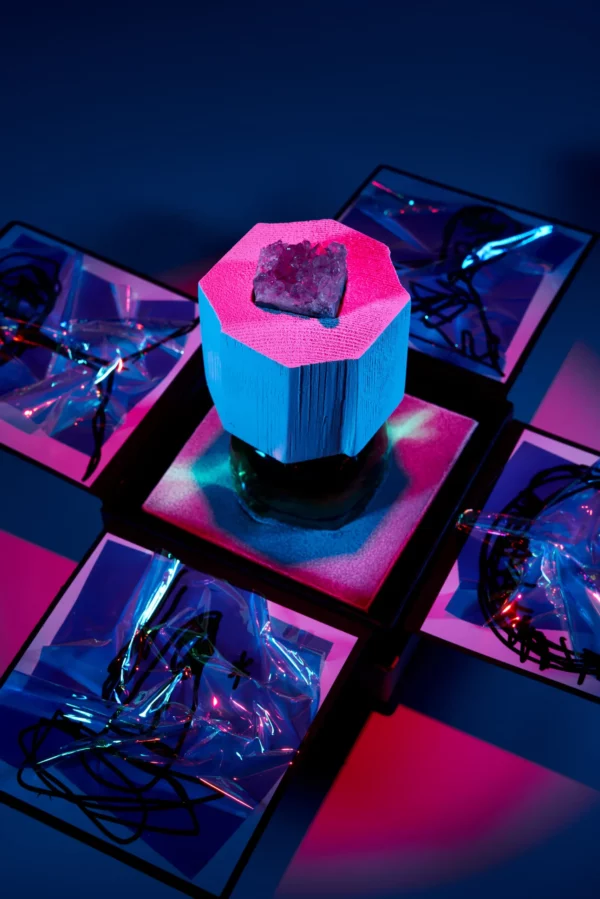 LUX VISIONARIA 1
