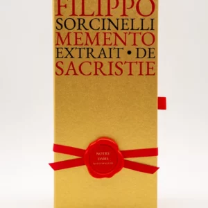 Filippo Sorcionelli Notre Dame Notte di Natale - Image 3