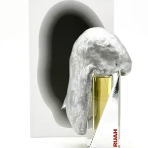 Filippo Sorcionelli Ruha - Image 3
