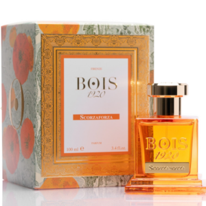 Bois 1920 Scorzaforza - Image 1