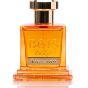 Bois 1920 Scorzaforza - Image 2